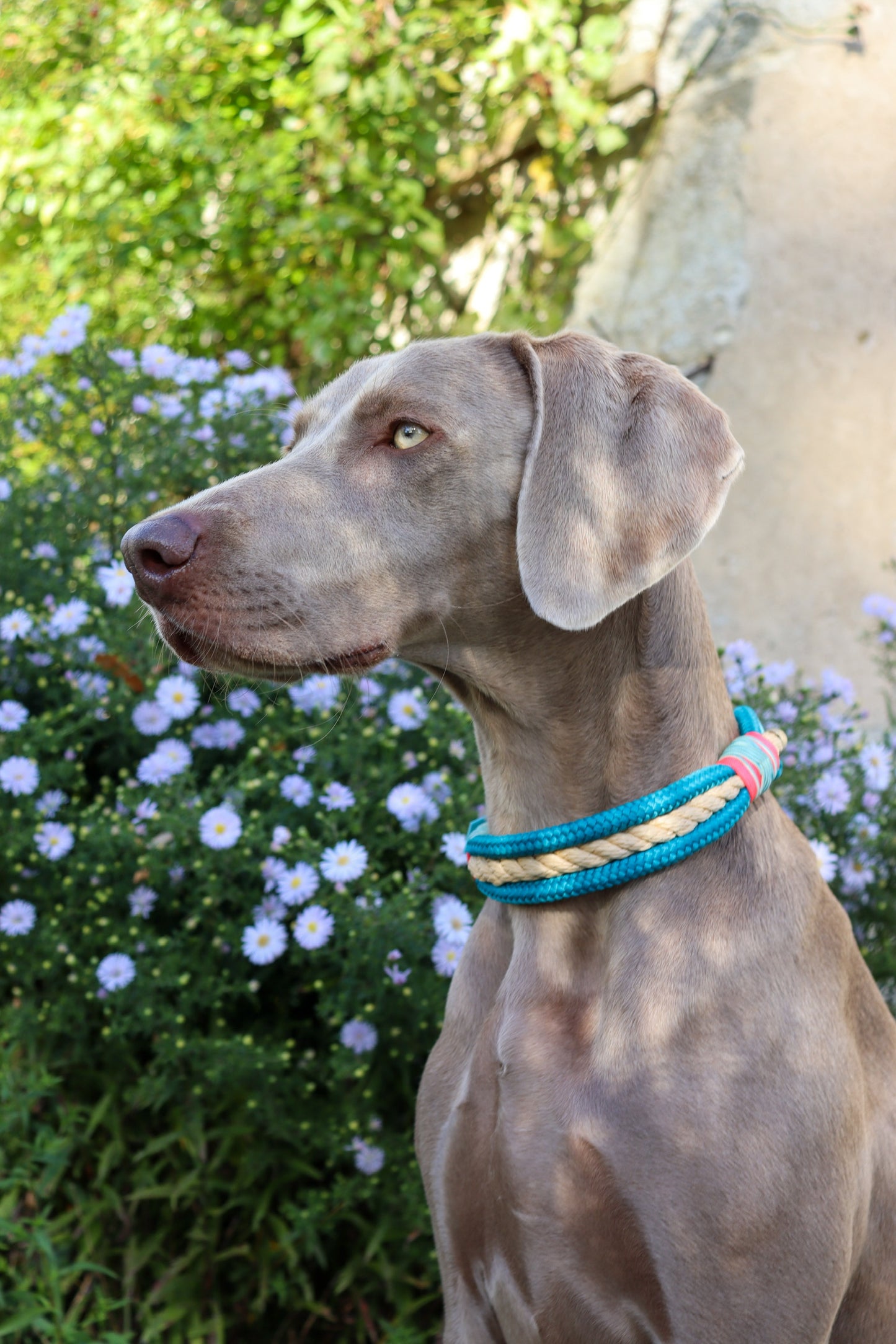 Tau Set Modell "Aquamarine"