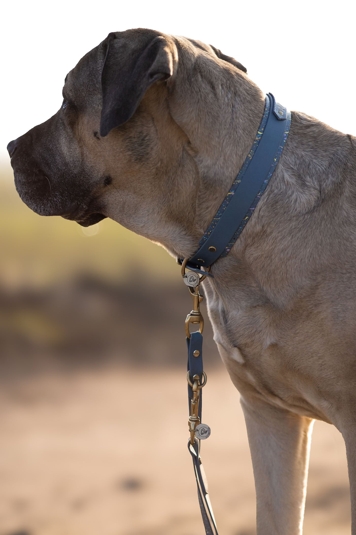 BioThane Sprinkle Set Modell "Petrol"