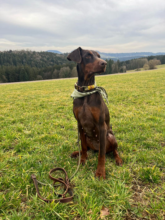 Tau Set Modell "Autumn"