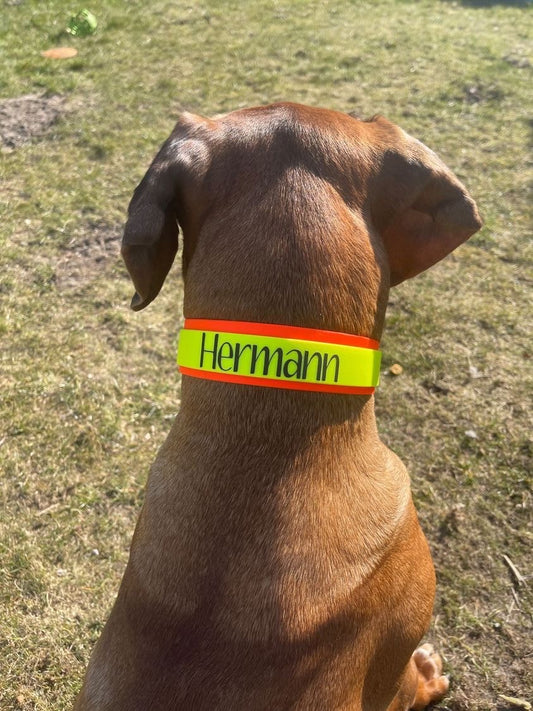 BioThane Halsband Modell "Hermann"